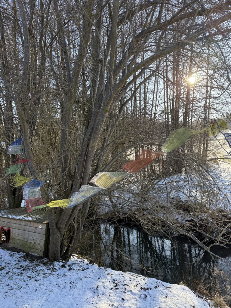 img 3650