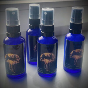 phönix essenz 1a wunderversum